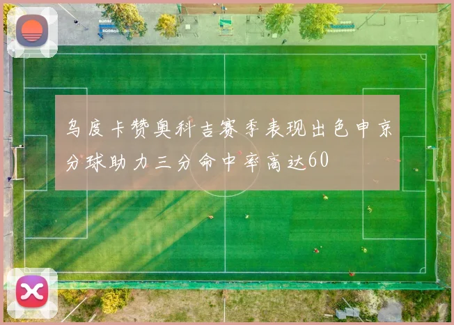 乌度卡赞奥科吉赛季表现出色申京分球助力三分命中率高达60