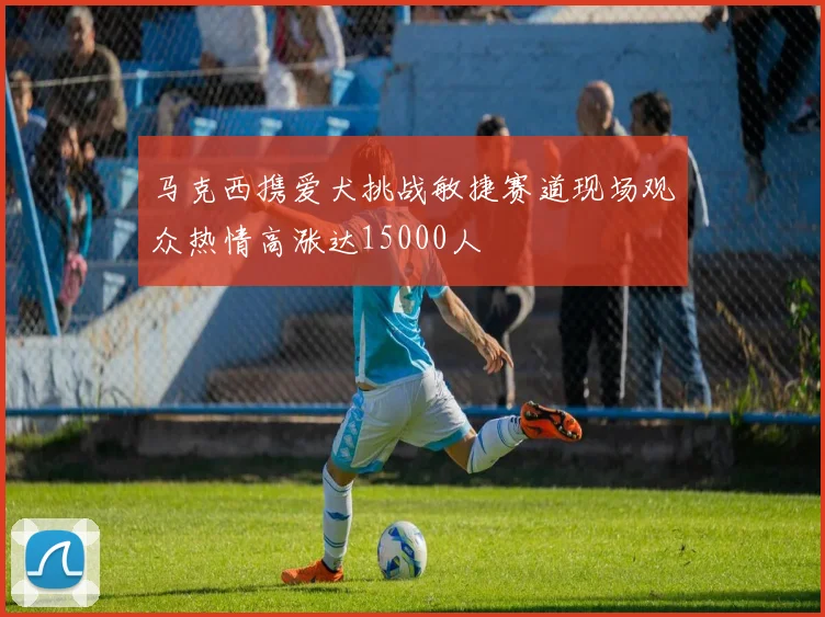 马克西携爱犬挑战敏捷赛道现场观众热情高涨达15000人