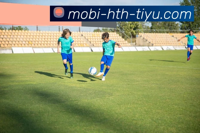 华体会体育发展历程